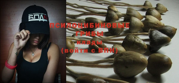 меф Няндома