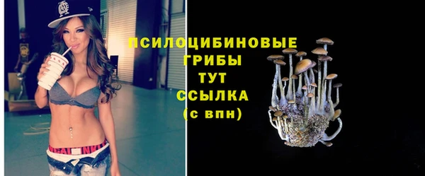 крисы Нягань